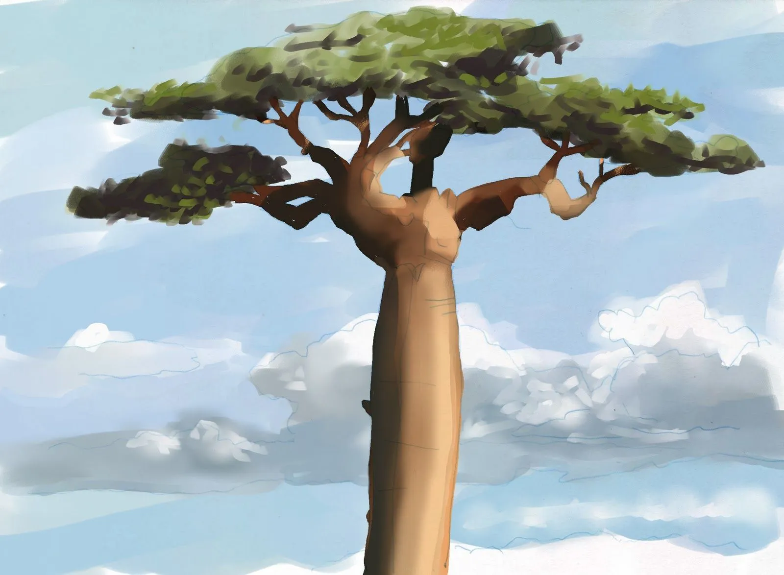 Diario de un aprendiz de ilustrador: Baobab