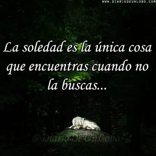 Diario de un Lobo — Desgraciadamente… #Sentimiento #DiarioDeUnLobo...