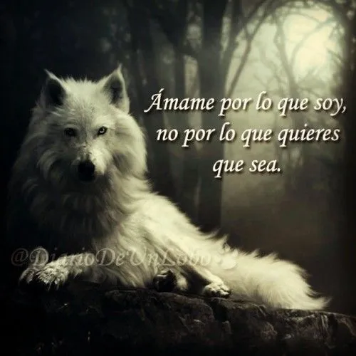 diariodeunlobo | Tumblr