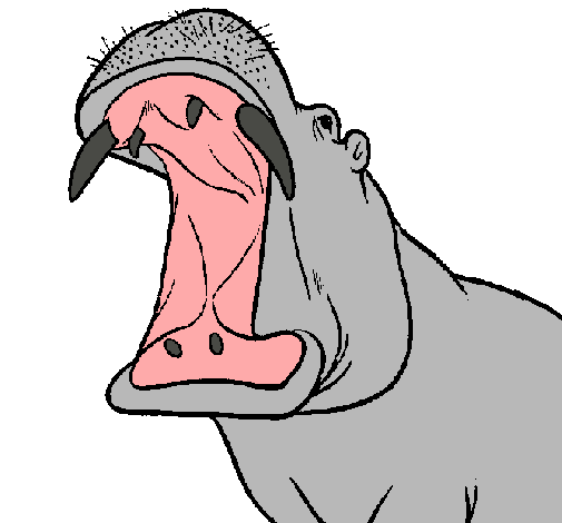 Dibuix de Hipopòtam amb la boca oberta pintat per Usuari no ...