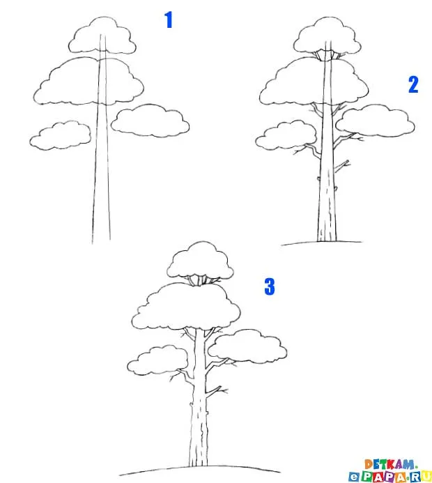 Dibuja un árbol de pino Cómo dibujar árboles. Aprender a dibujar