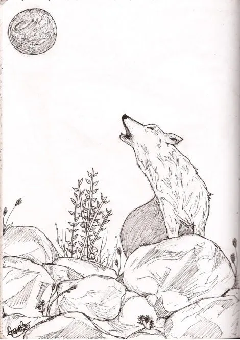 Dibujos de un lobo aullando - Imagui