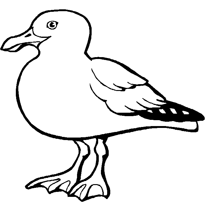 Dibujos para colorear gaviotas - Imagui