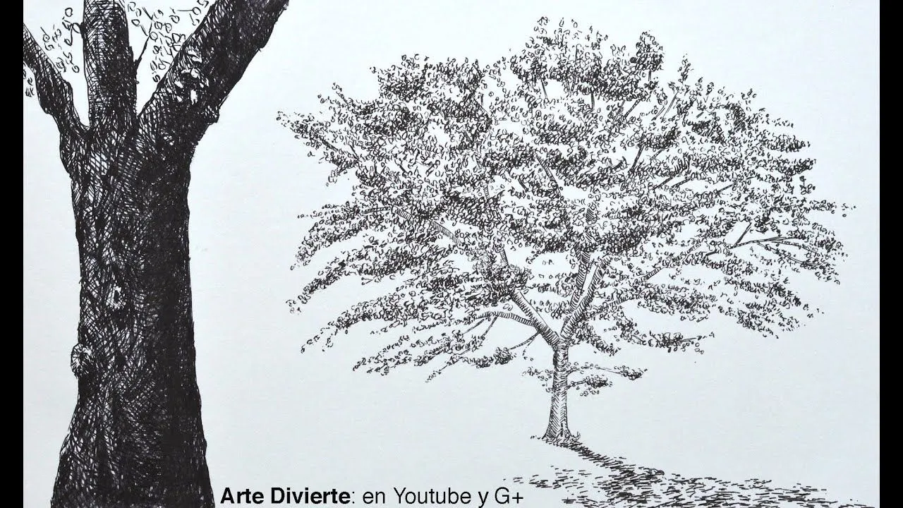 Dibujando árboles: cómo dibujar un roble con marcadores - Arte Divierte. -  YouTube