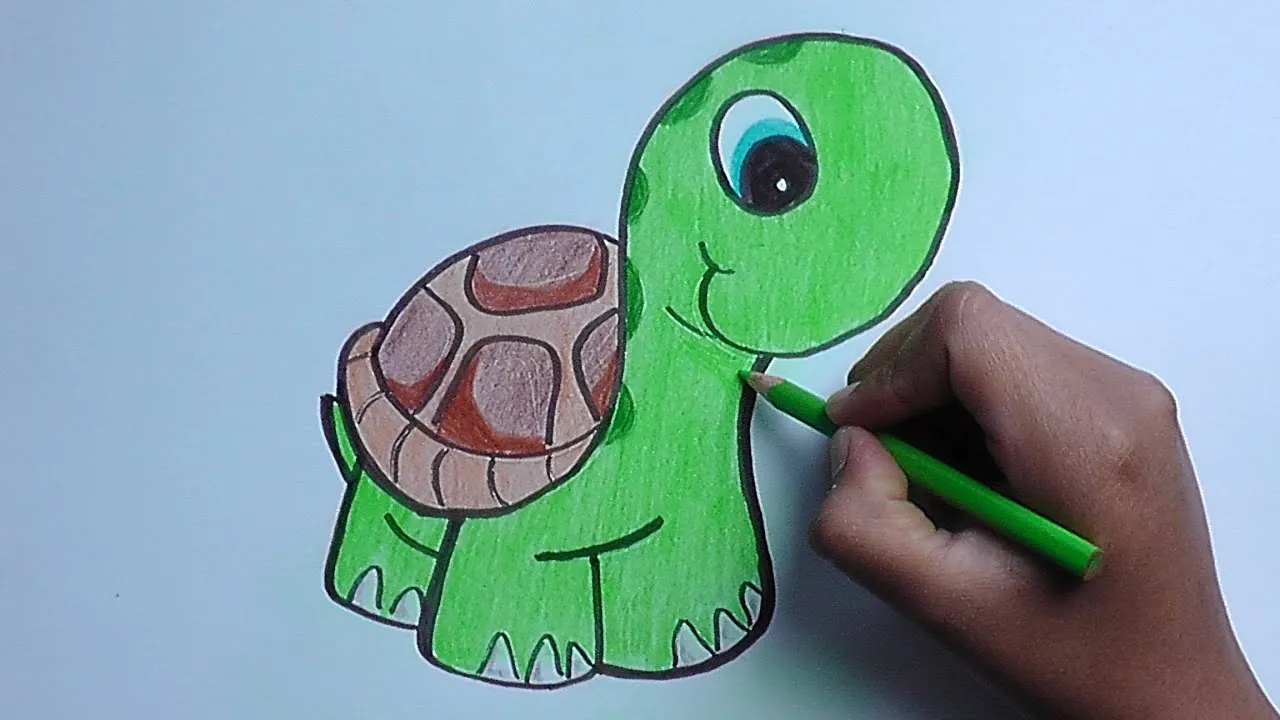 dibujando y pintando a una tortuga - drawing and painting a turtle - YouTube