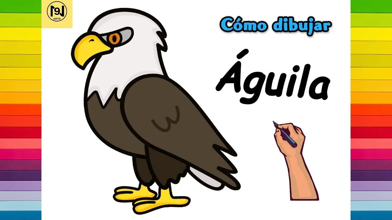 Cómo dibujar un águila calva Dibujo de águila calva fácil paso a paso | No.9 ARTS - YouTube