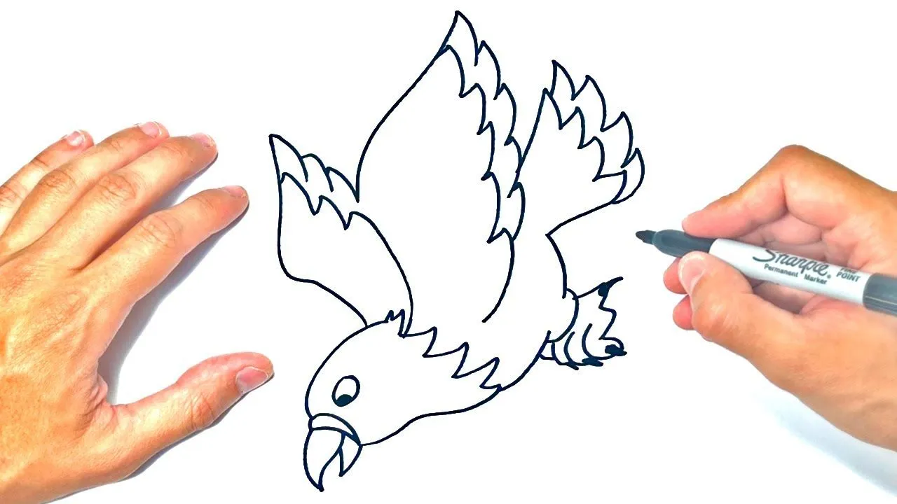 Cómo dibujar un Águila Paso a Paso | Dibujo de Águila - YouTube
