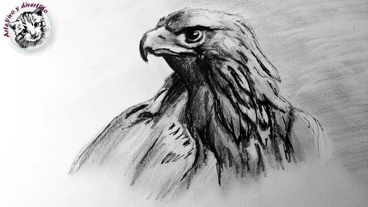 Como Dibujar un Aguila Realista Paso a Paso | tecnicas de dibujo ...