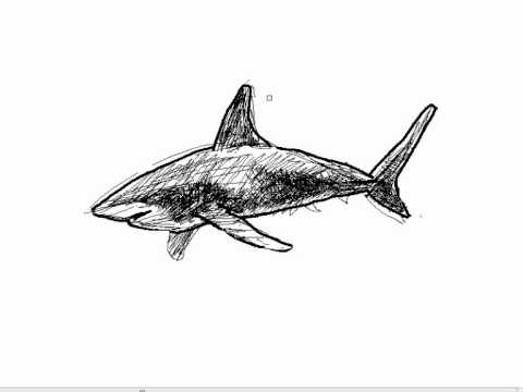 Como dibujar una ballena asesina orca - Dibujos de animales Video ...