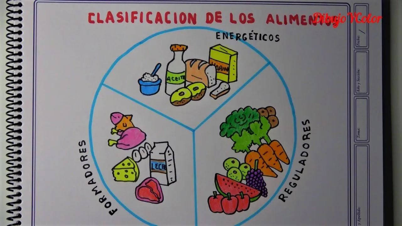 Cómo dibujar la CLASIFICACIÓN de los ALIMENTOS / How to draw the food  groups - YouTube