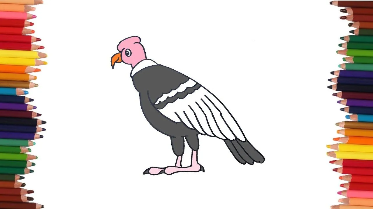 como dibujar un condor | Dibujos faciles - YouTube