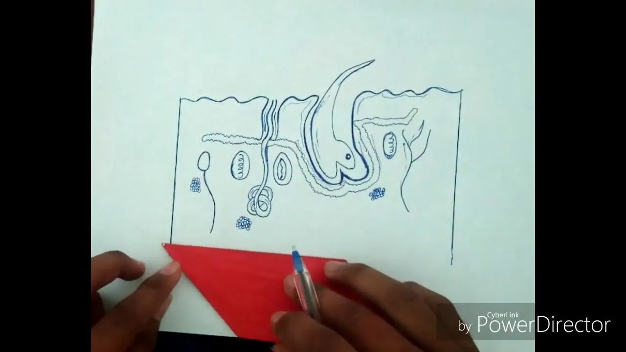 Como dibujar (el tacto ) piel... - YouTube