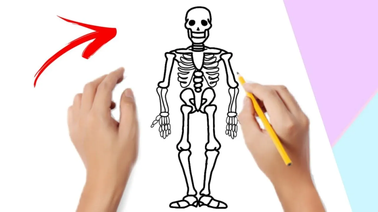 Cómo dibujar un esqueleto fácil , paso a paso • How ti draw a skeleton Easy  step by step - YouTube