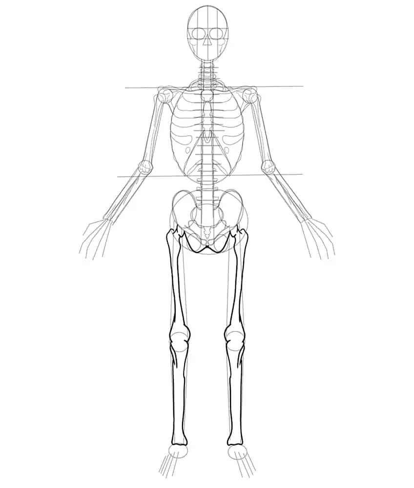 Como dibujar un esqueleto humano - Guía paso a paso