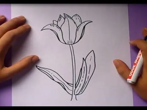 Escuchar Como Dibujar Una Flor Paso A Paso 3 How To Draw A Flower ...