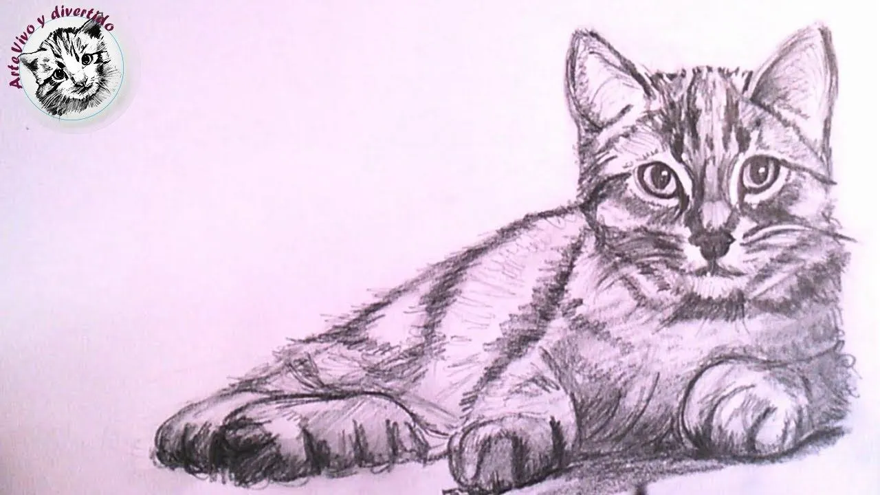 Como Dibujar un Gato Realista a Lapiz Paso a Paso - YouTube