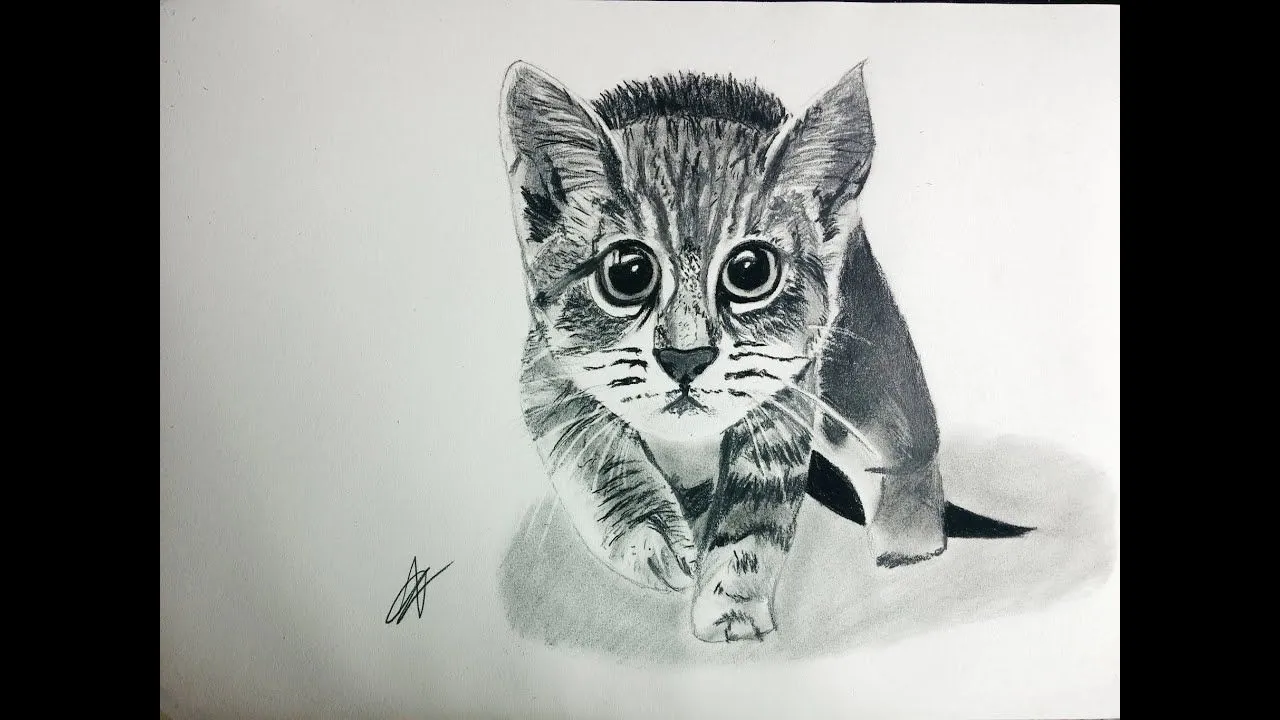 Cómo dibujar un gato realista paso a paso explicado MUY FÁCIL ...