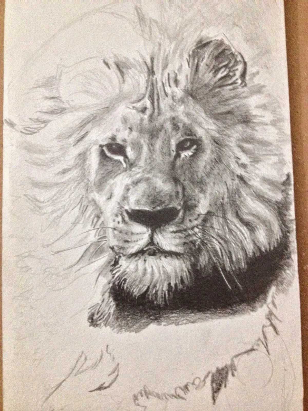 Como dibujar un león