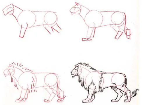 Como dibujar un León de lado (real) Principiantes