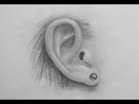 Cómo dibujar una oreja realista - Arte Divierte - YouTube