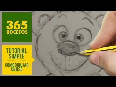COMO DIBUJAR UN OSO - YouTube