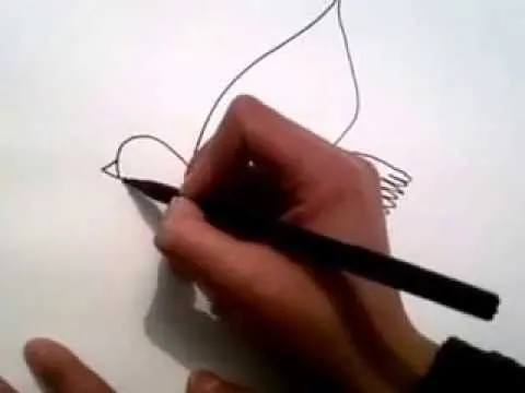 como dibujar una paloma blanca - YouTube