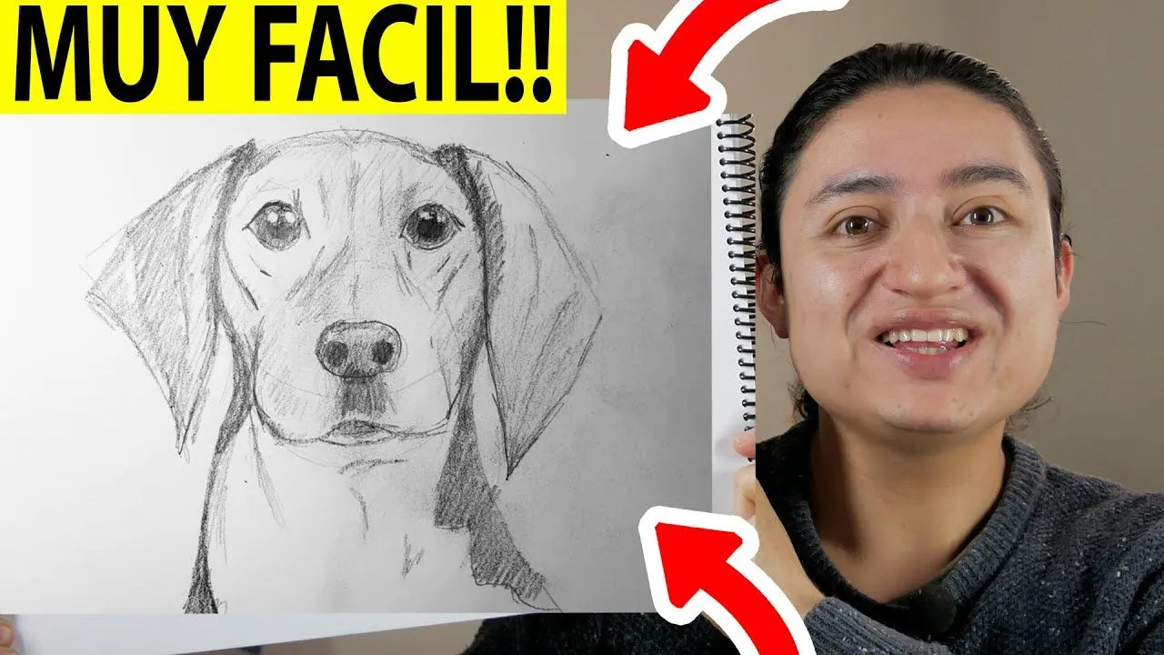 Como Dibujar un Perro paso a paso, How to draw a Dog. [El ...