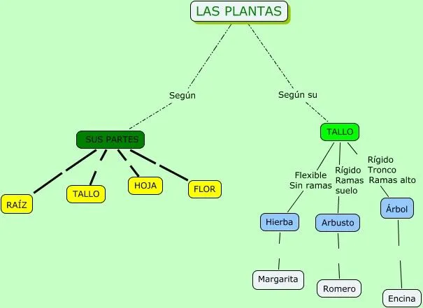 Dibujar una planta y señala sus partes - Imagui