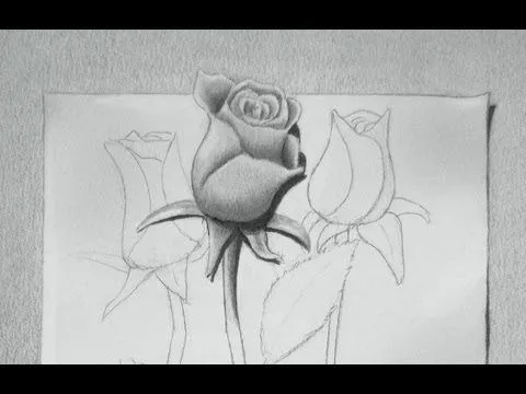 Cómo dibujar una rosa en 3D