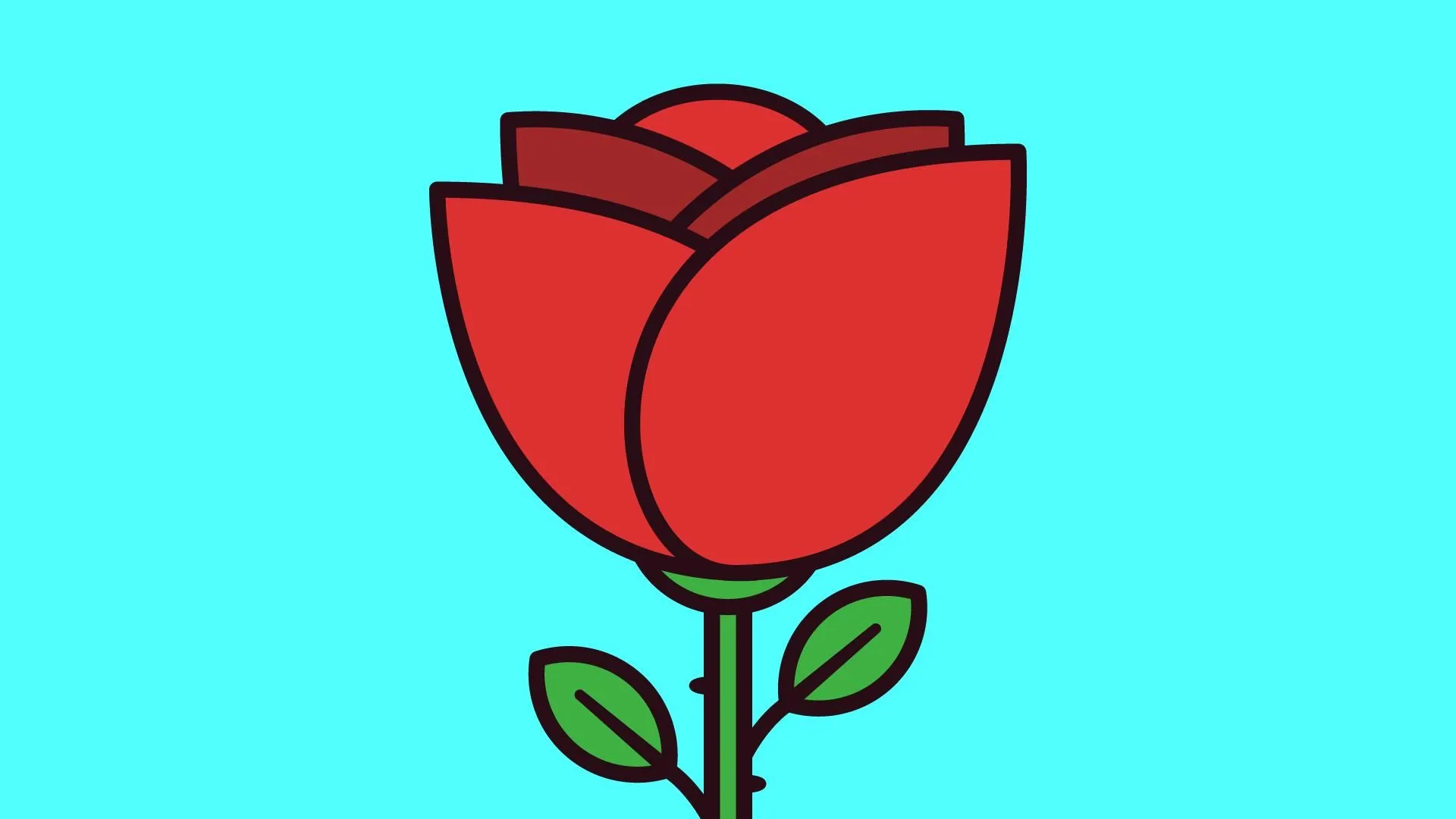 Cómo dibujar una rosa en Adobe Illustrator | Spencer Martin | Skillshare