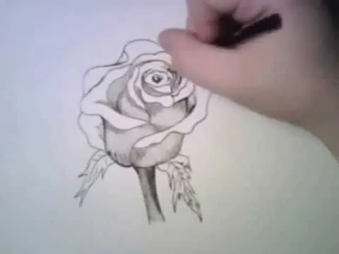 Dibujar una rosa - How to draw a rose - YouTube