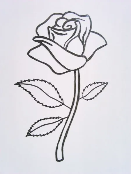 Cómo dibujar una rosa - Rosas para dibujar a lápiz