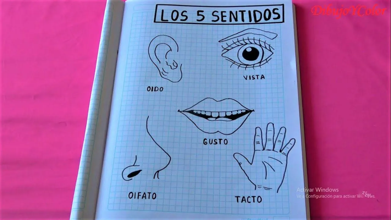 Como dibujar los cinco sentidos/how to draw the 5 senses/DibujoYColor -  YouTube