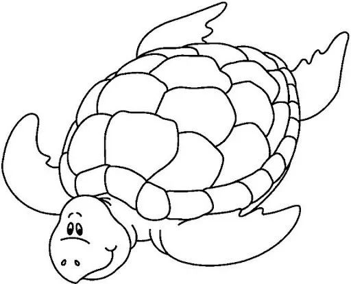 TORTUGA DE AGUA PARA COLOREAR - Imagui