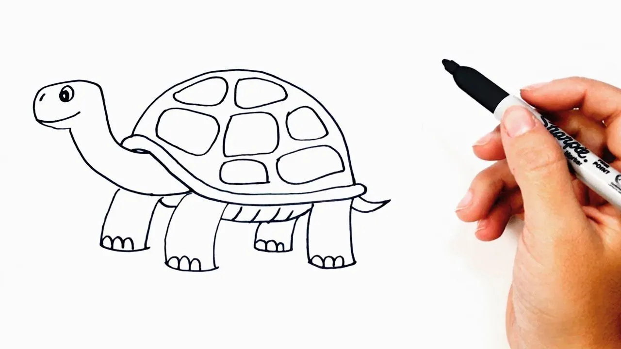 Cómo dibujar un Tortuga paso a paso | Dibujo fácil de Tortuga - YouTube