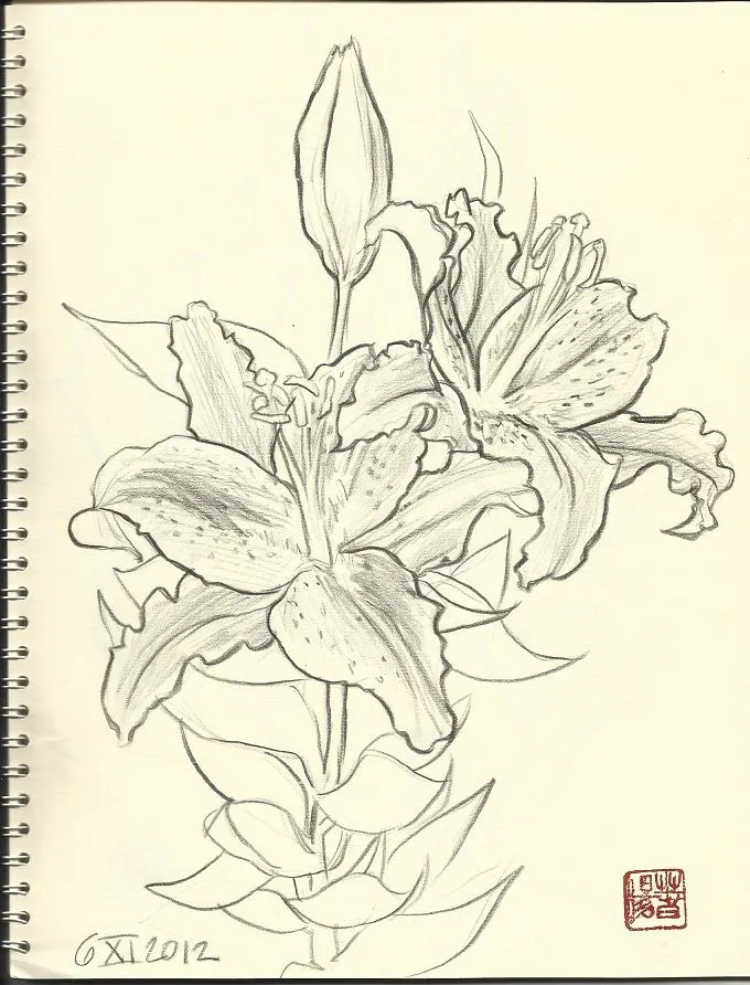 Los dibujitos de Carmen Harada: Flower sketches