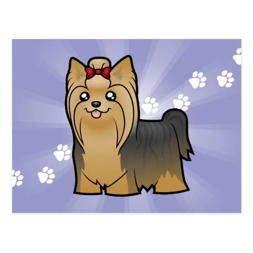 Dibujo animado Yorkshire Terrier (pelo largo con Postal | Zazzle