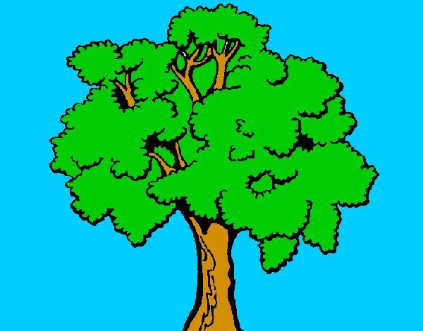 Dibujo de Árbol 1 pintado por Kakkak en Dibujos.net el día 27-04 ...