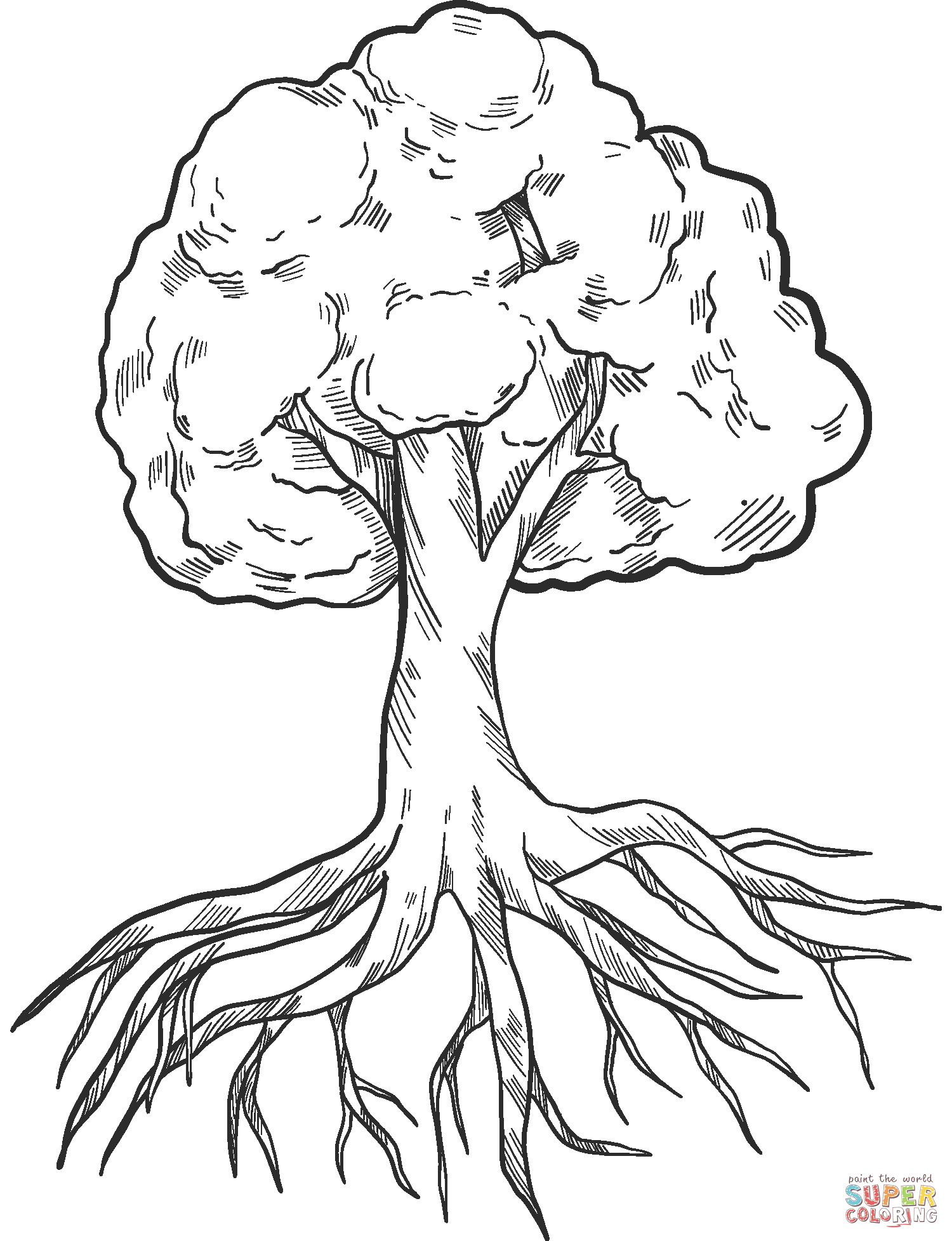 Dibujo de árbol con raíces para colorear | Dibujos para colorear imprimir  gratis