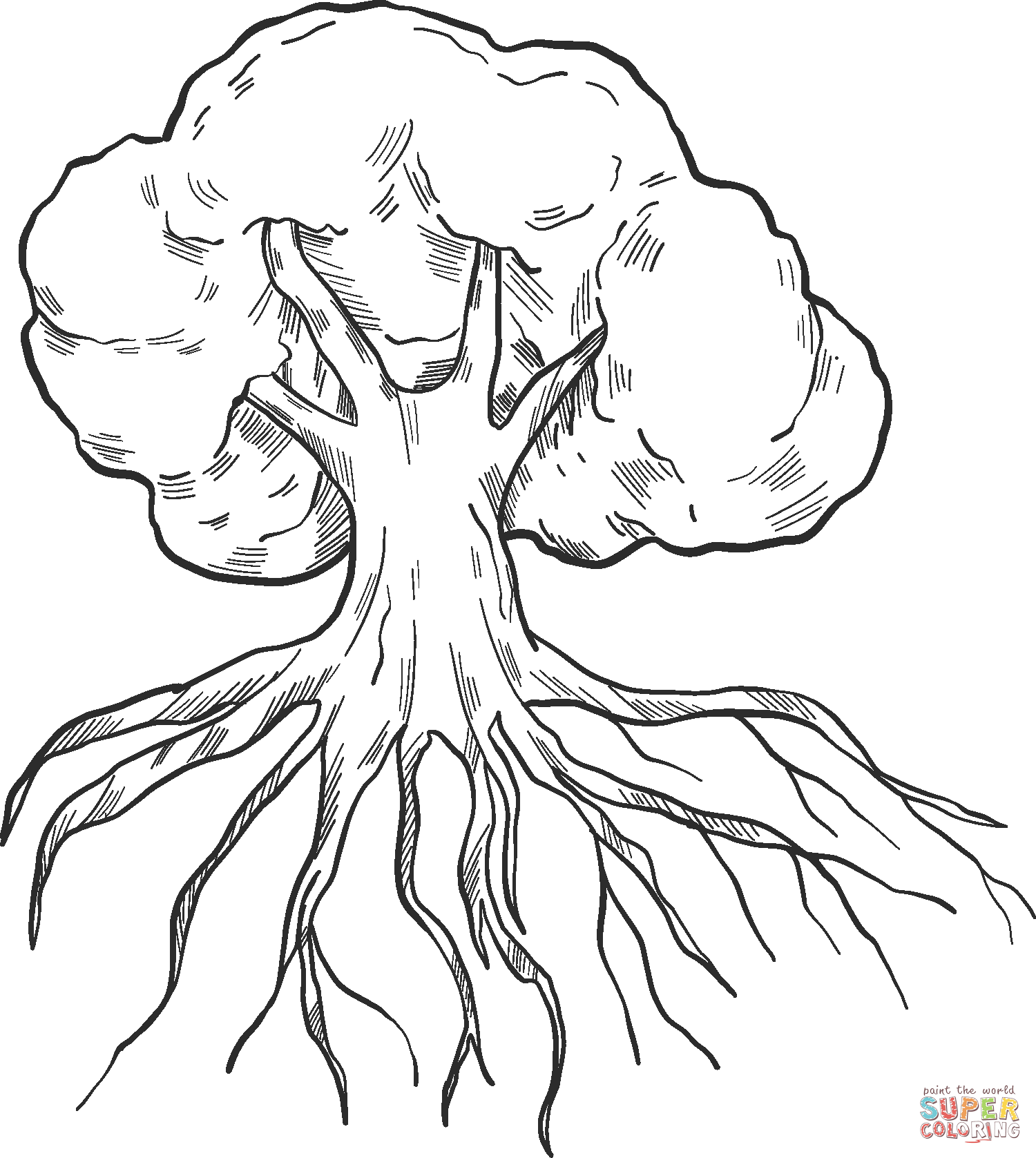 Dibujo de árbol con raíces para colorear | Dibujos para colorear imprimir  gratis