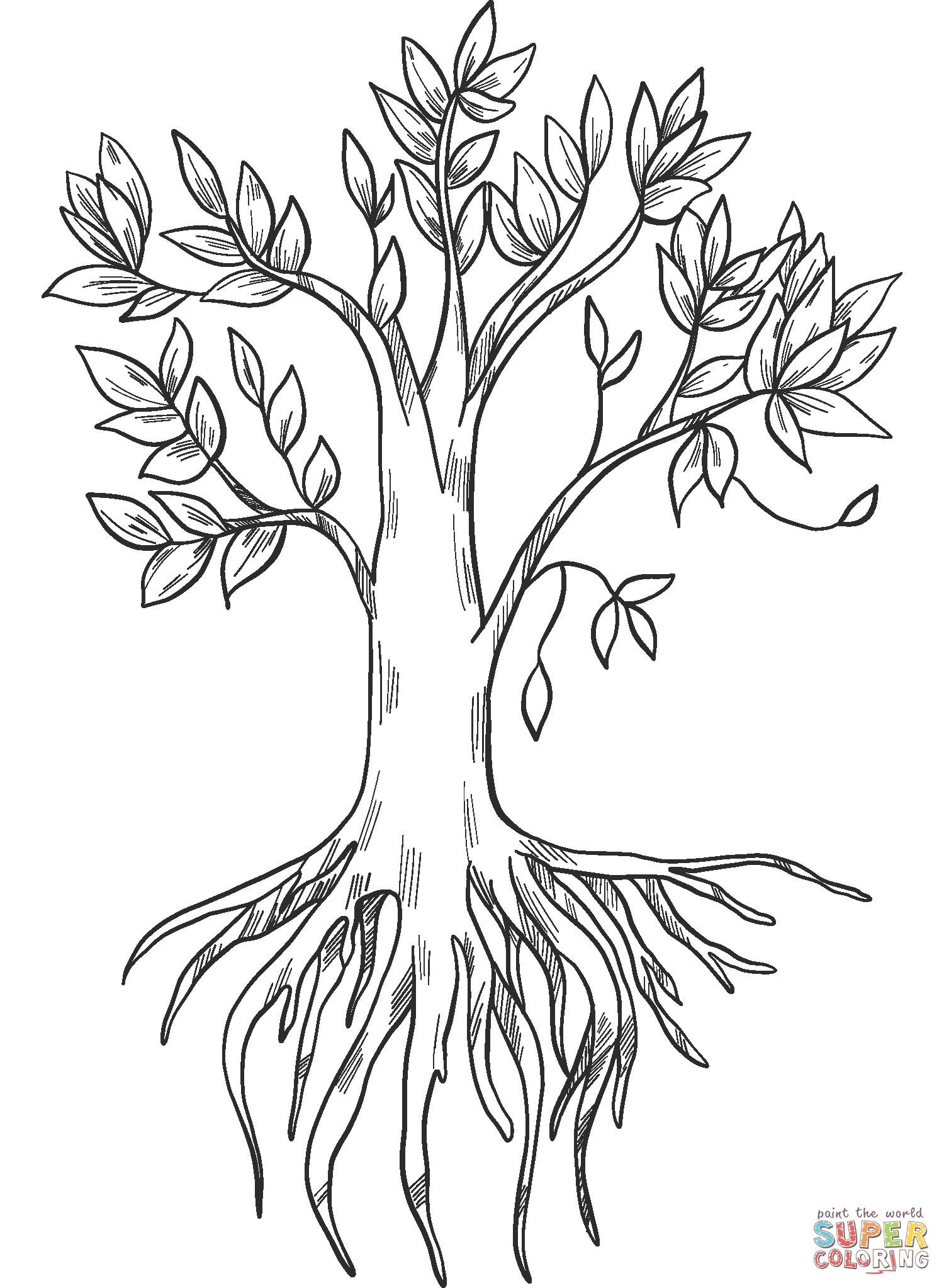 Dibujo de árbol con raíces para colorear | Dibujos para colorear imprimir  gratis