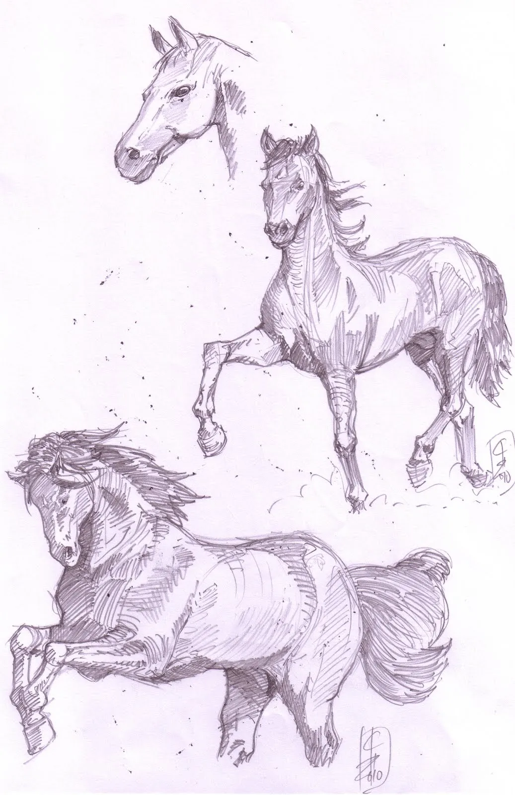  ... de dibujo artistico lapices de caballos hb sobre folio copiado de