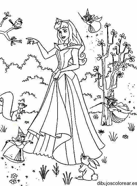 Dibujo de aurora - Imagui