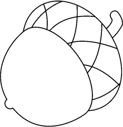 Bellotas dibujo - Imagui