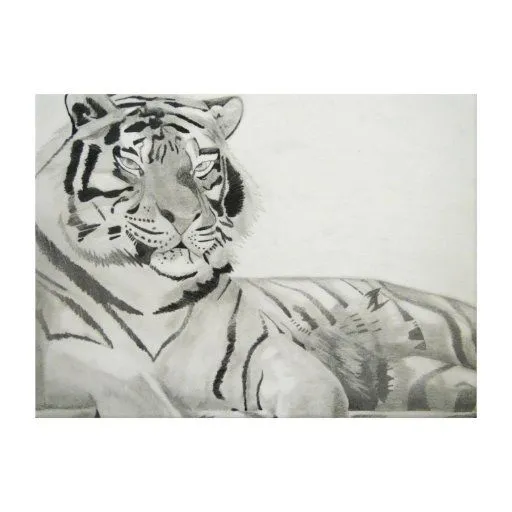 Dibujo blanco y negro del tigre impresión en lona estirada de Zazzle.