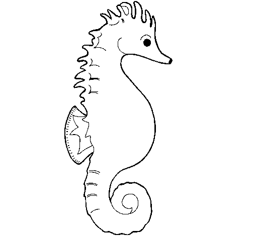 Dibujo de Caballito de mar 1 para Colorear