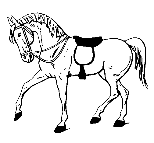 Dibujo de Caballo de competición para Colorear