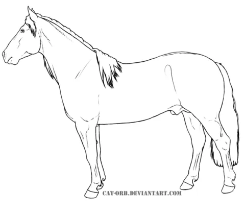 Dibujo de Caballo Criollo para colorear | Dibujos para colorear ...