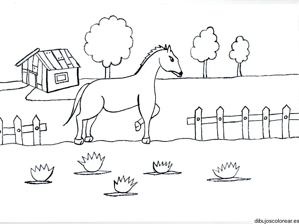 Dibujo de un caballo en un patio | Dibujos para Colorear