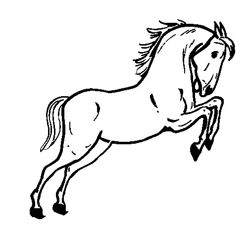 Dibujo de Caballo saltando para Colorear